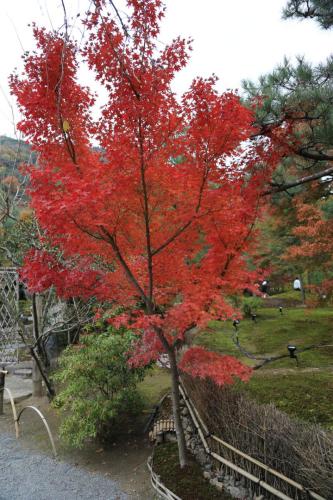 IMG 10412 resize
