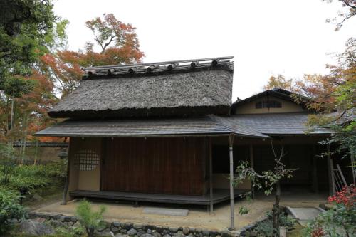IMG 10415 resize