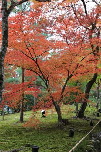 IMG 10417 resize