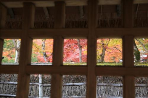 IMG 10420 resize