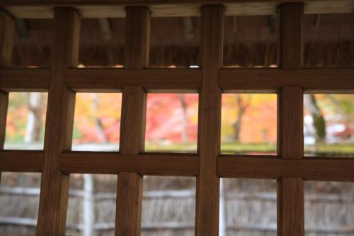 IMG 10422 resize