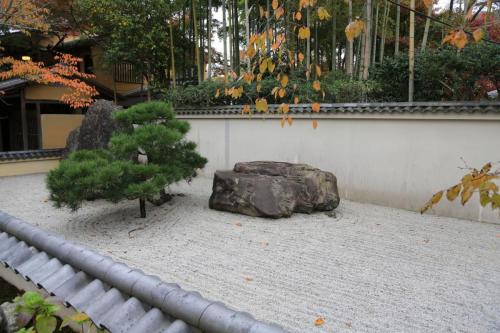 IMG 10424 resize