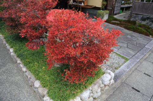 IMG 10427 resize