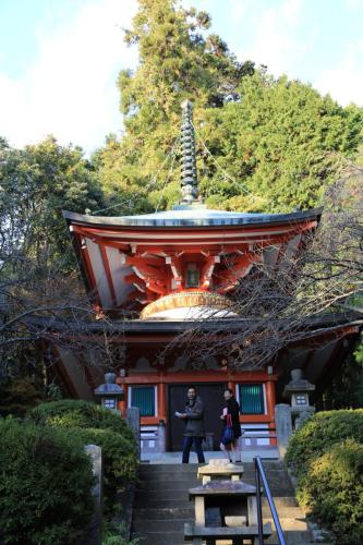 IMG 10450 resize