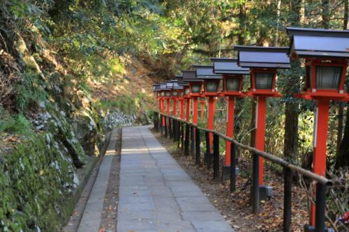 IMG 10457 resize
