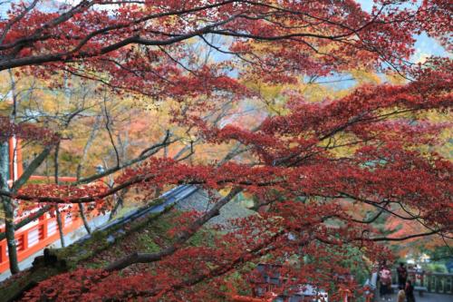 IMG 10470 resize