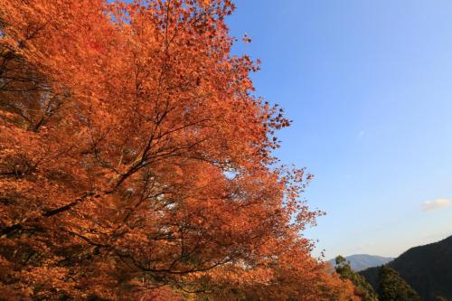 IMG 10483 resize