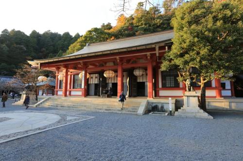 IMG 10485 resize
