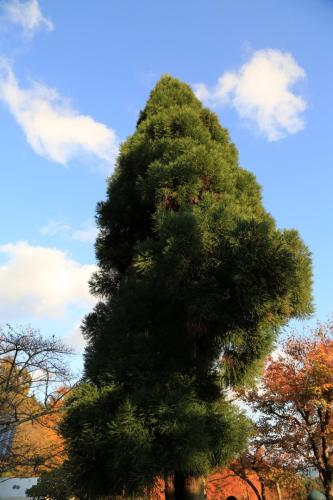 IMG 10491 resize