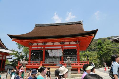 IMG 8804 resize
