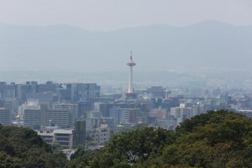 IMG 8832 resize
