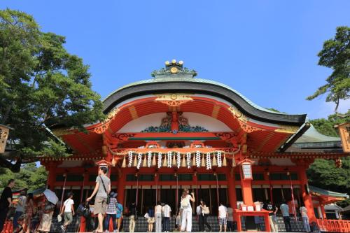 IMG 8924 resize
