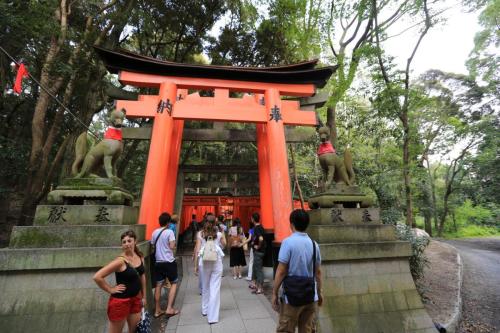 IMG 8958 resize