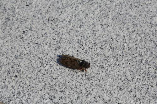 IMG 8969 resize