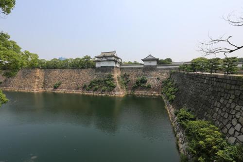 IMG 8139 resize