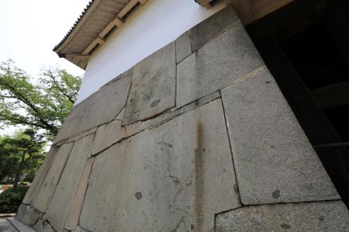 IMG 8146 resize
