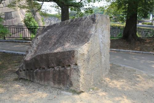 IMG 8149 resize