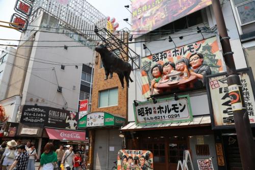 IMG 8222 resize