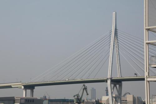 IMG 8260 resize