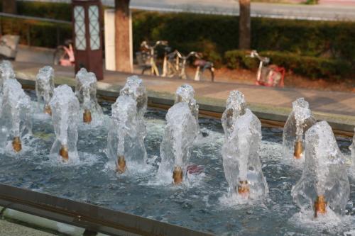 IMG 8564 resize