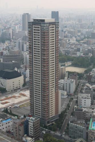 IMG 8594 resize
