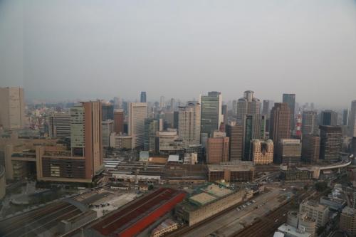 IMG 8637 resize