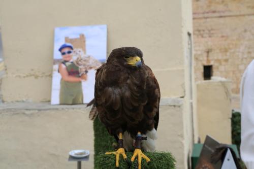 IMG 18272 resize