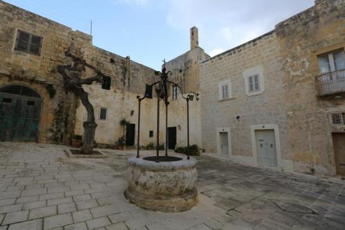 IMG 18380 resize