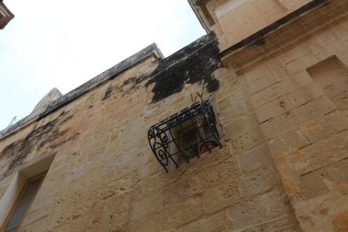IMG 18384 resize