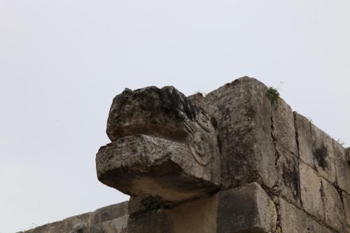 IMG 6477 resize