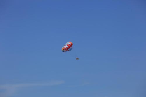 IMG 6612 resize
