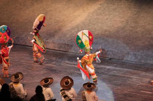 IMG 7054 resize
