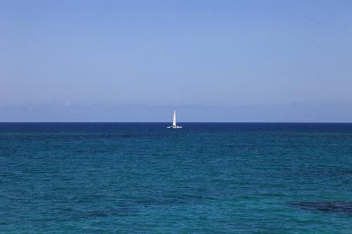 IMG 7183 resize