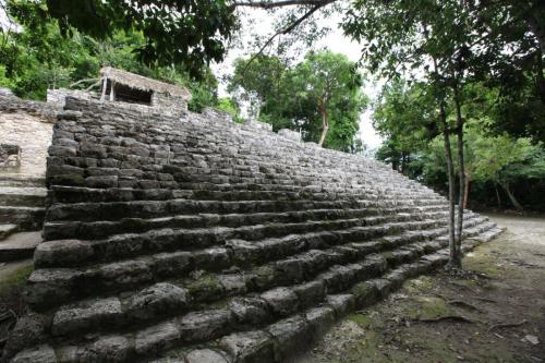 IMG 7242 resize
