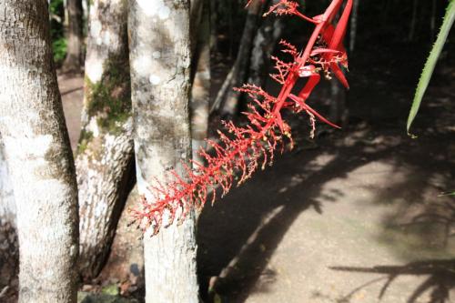 IMG 7272 resize