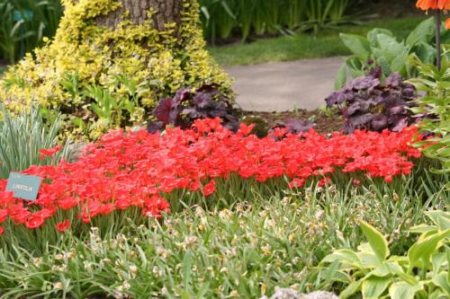IMG 5141 resize