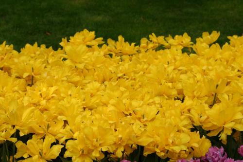 IMG 5151 resize