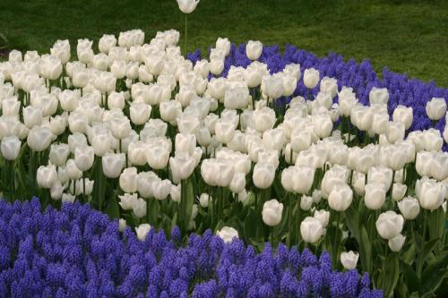 IMG 5154 resize
