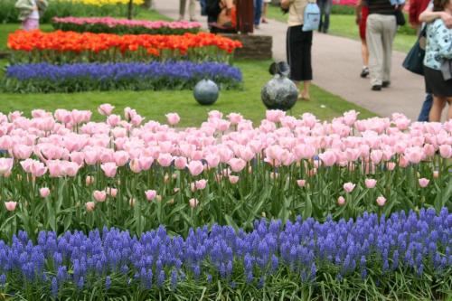 IMG 5184 resize