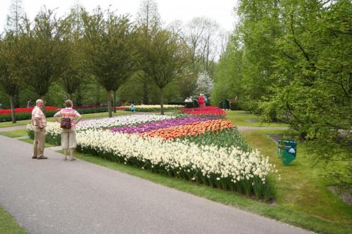 IMG 5205 resize
