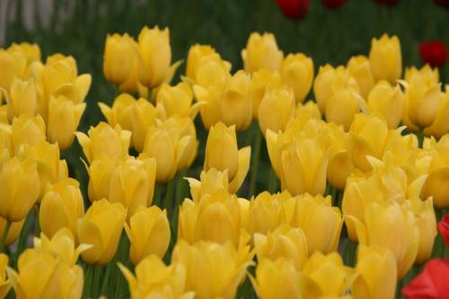 IMG 5226 resize