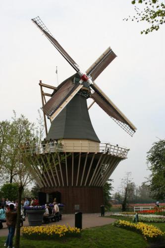 IMG 5414 resize