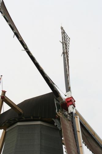 IMG 5424 resize