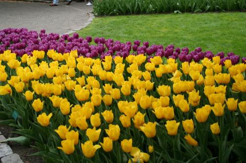 IMG 5456 resize