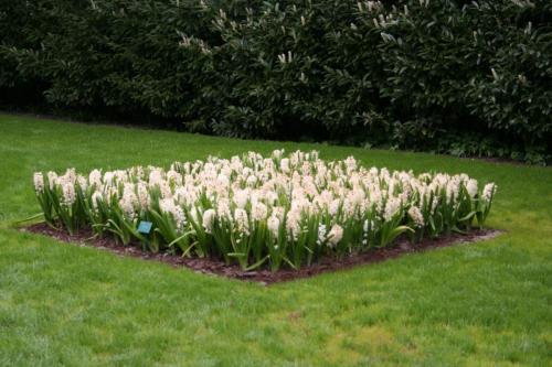 IMG 5460 resize