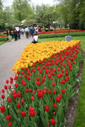 IMG 5461 resize