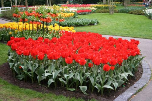 IMG 5464 resize