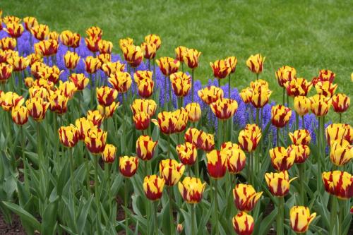 IMG 5479 resize