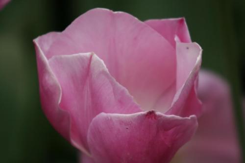 IMG 5482 resize