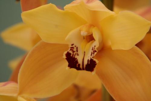 IMG 5533 resize